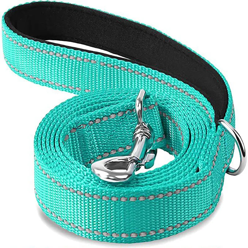 reflective nylon dog leash with comfortable handle for night walks