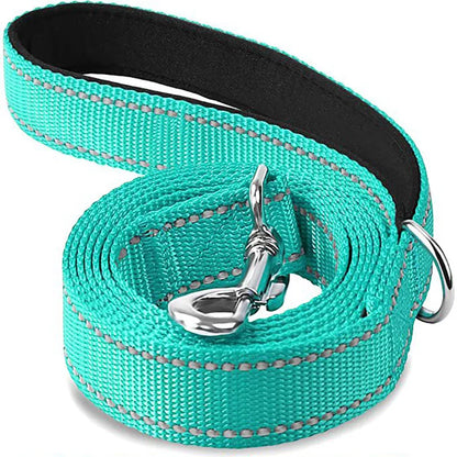Reflective Nylon Dog Leash with Comfortable Handle for Night Walks