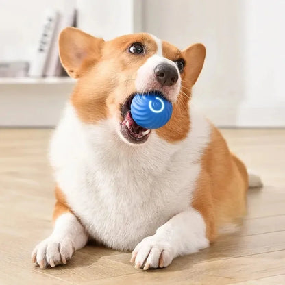 Smart Bouncing Ball Interactive Electronic Pet Toy for Dogs & Cats