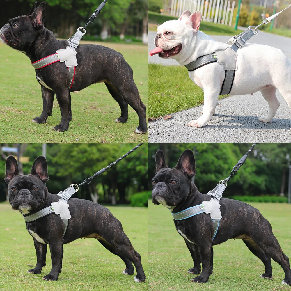 adjustable reflective dog harness for hiking, walking, and travel