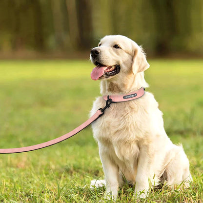 Personalized Leather Dog Collar & Leash Set - Soft, Padded, Durable