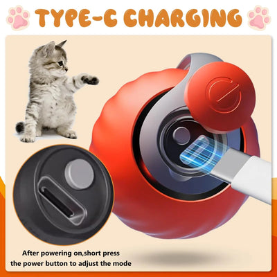 Speedy Tail 2.0 Interactive Cat Ball Toy with Dual-Speed Modes