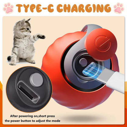 Speedy Tail 2.0 Interactive Cat Ball Toy with Dual-Speed Modes