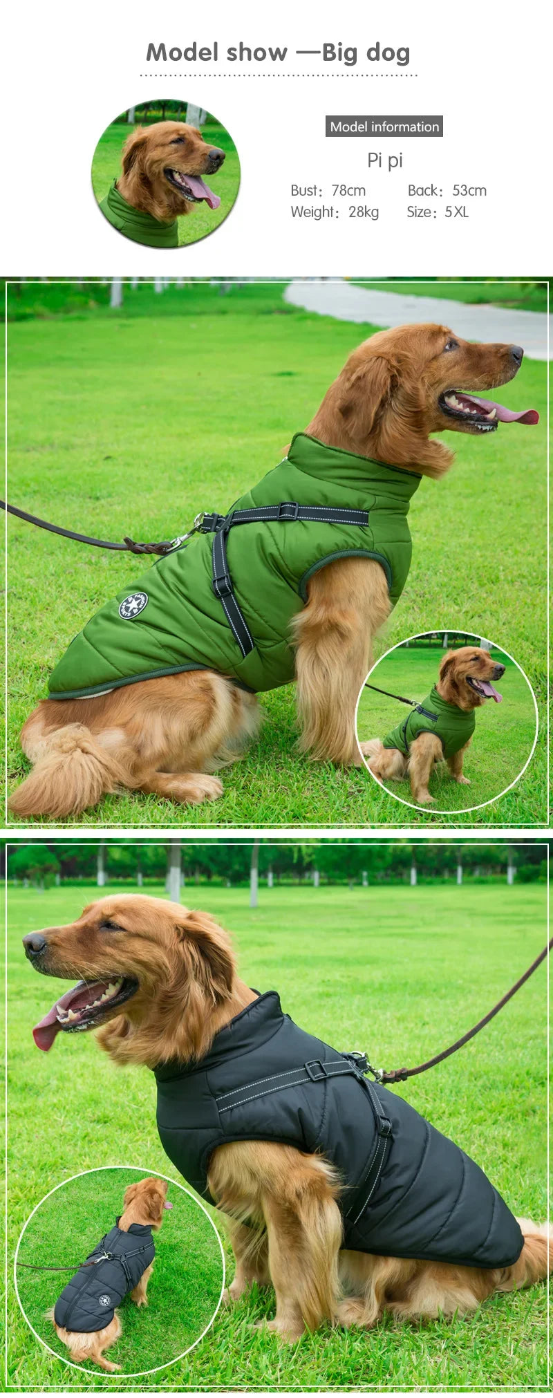 winter dog jacket with built-in harness – warm splash-proof coat