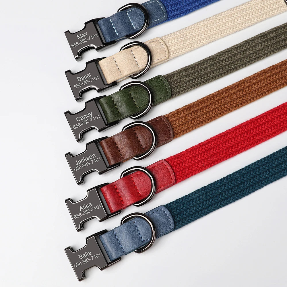 custom engraved nylon dog collar for small, medium, and large dogs