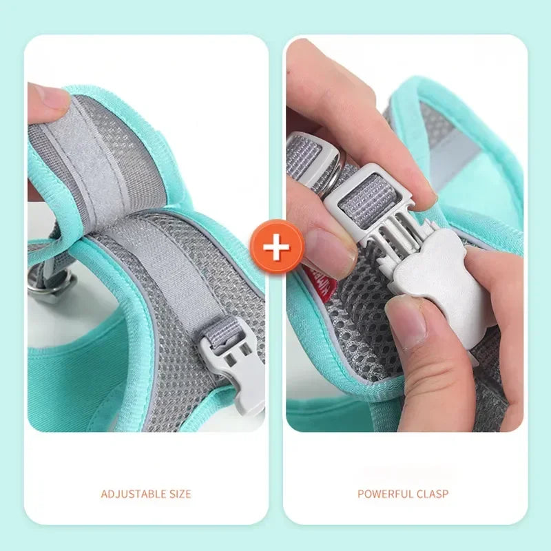 breathable mesh pet harness with reflective safety stitching set