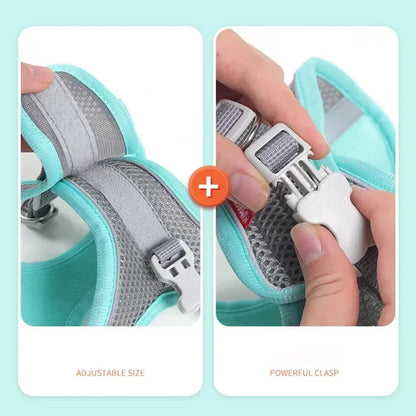 Breathable Mesh Pet Harness with Reflective Safety Stitching Set