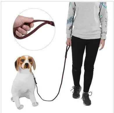 Genuine Leather Braided Dog Leash for Medium and Large Dog Breeds