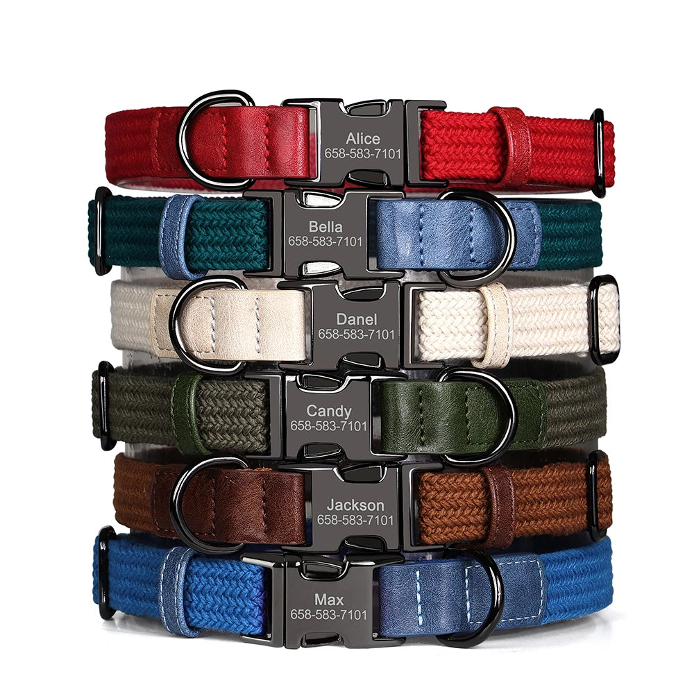 custom engraved nylon dog collar for small, medium, and large dogs