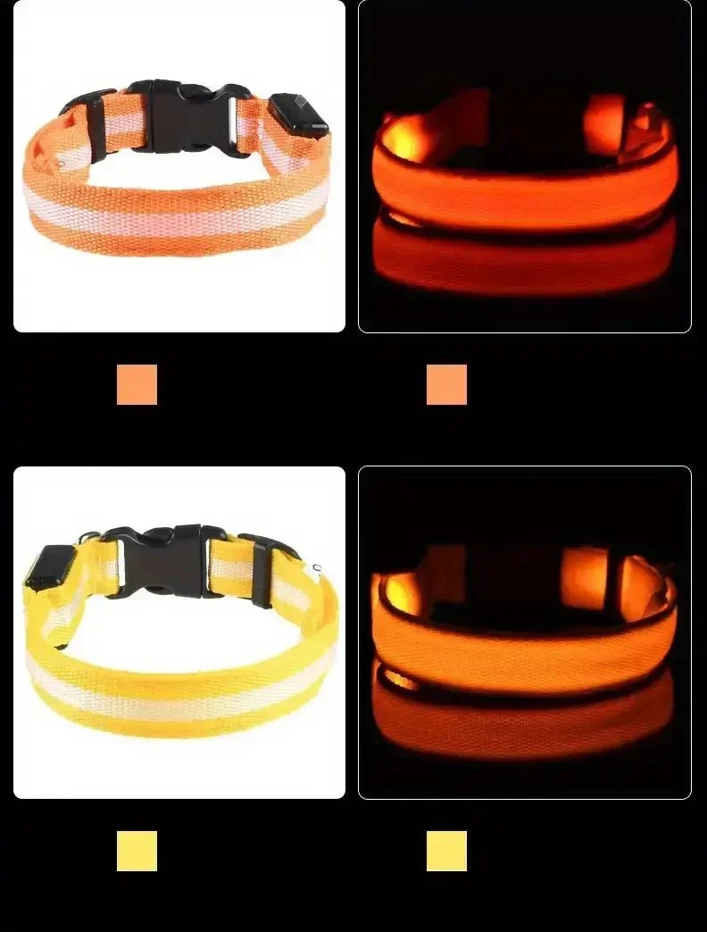 led glow dog collar - battery-powered night walking safety collar
