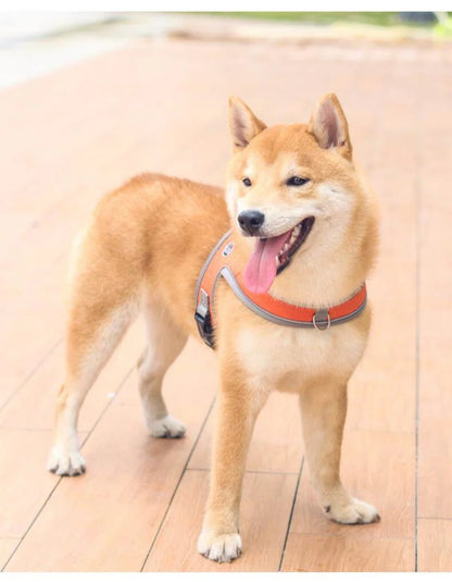 No-Pull Nylon Dog Harness - Reflective, Adjustable Anti-Burst Vest