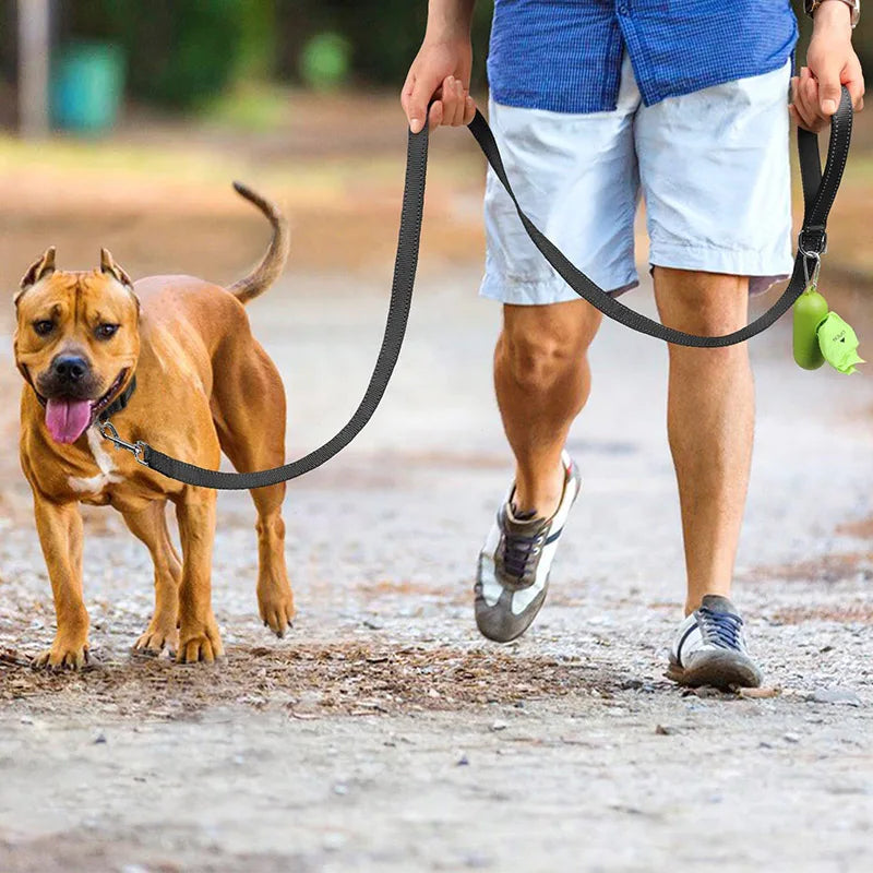reflective nylon dog leash with comfortable handle for night walks