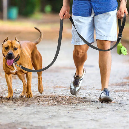 Reflective Nylon Dog Leash with Comfortable Handle for Night Walks