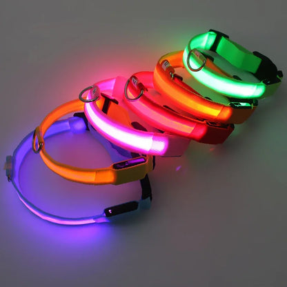 3 Modes Rechargeable LED Dog Collar - Adjustable Night Safety Glow Collar