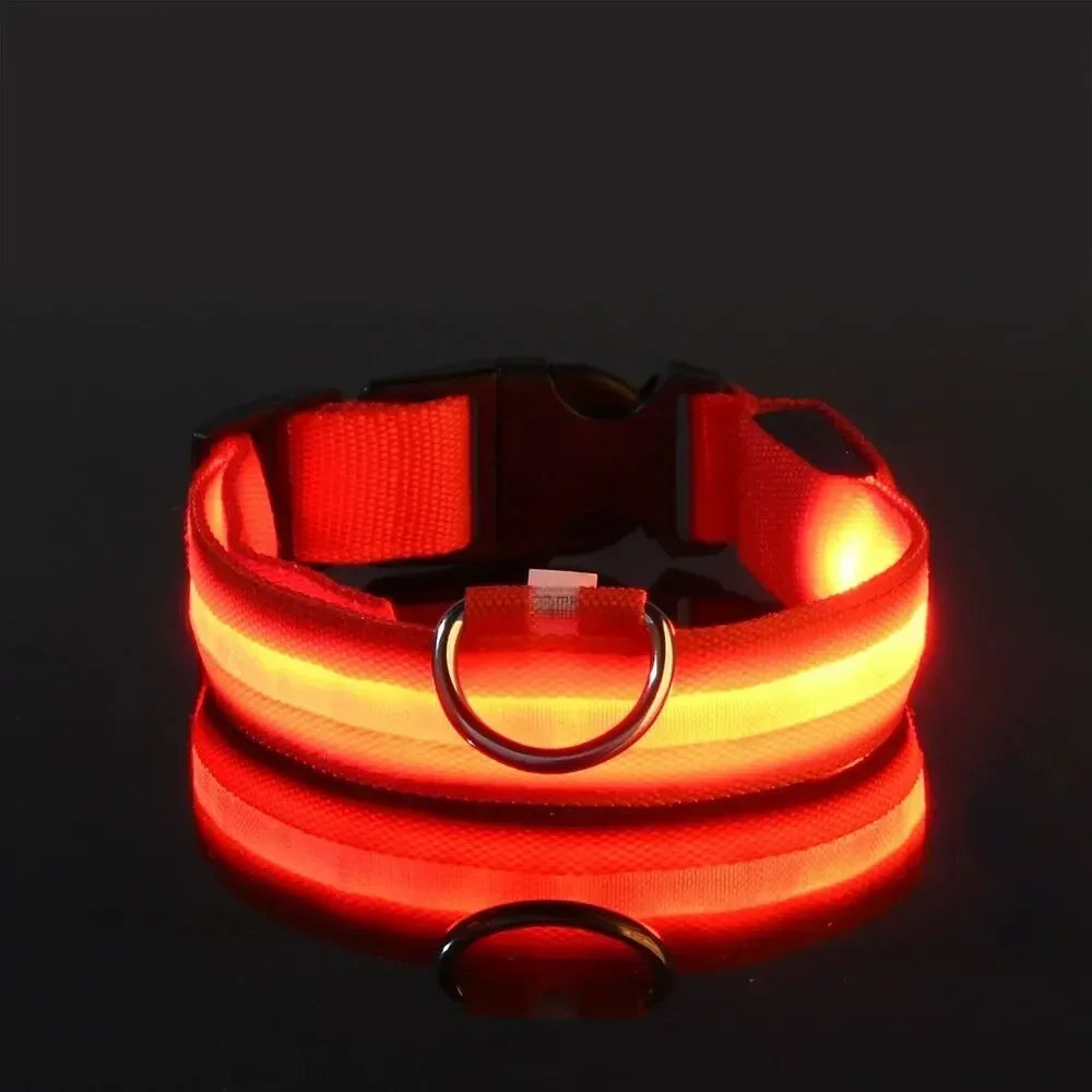led glow dog collar - battery-powered night walking safety collar