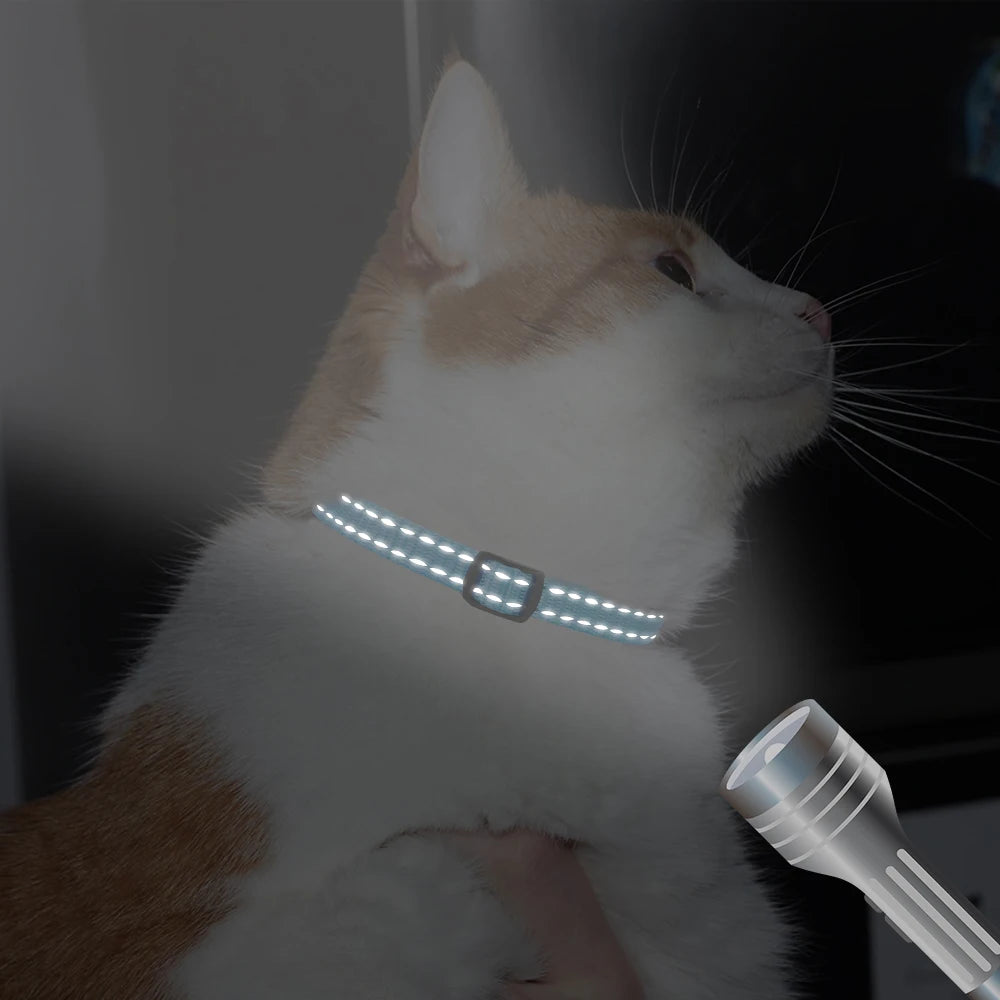 personalized cat collar with bell - free engraved, breakaway safe