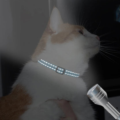 Personalized Cat Collar with Bell - Free Engraved, Breakaway Safe