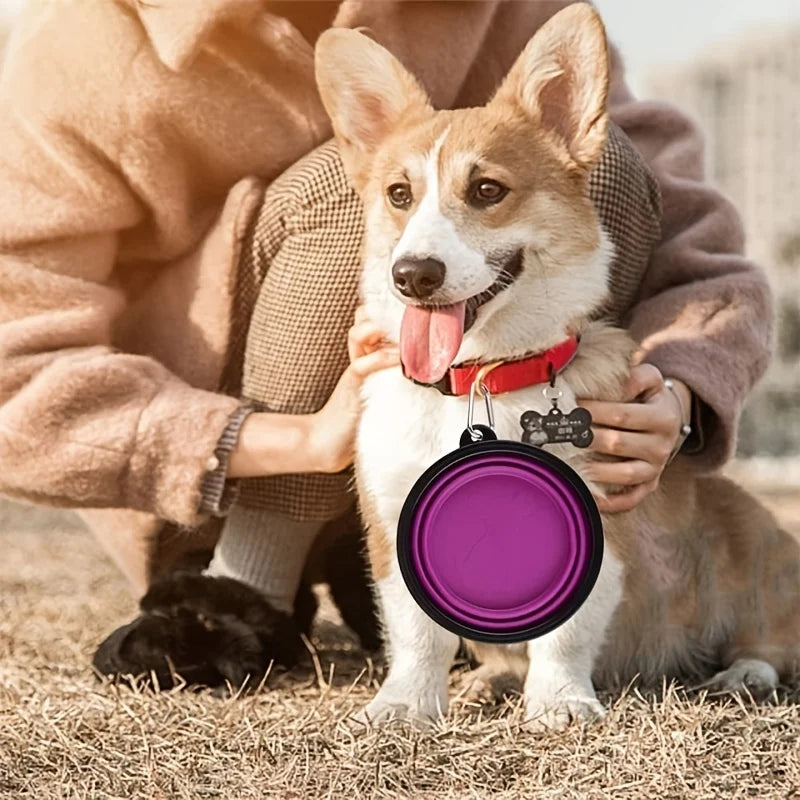 collapsible silicone pet bowl – portable travel food & water bowl