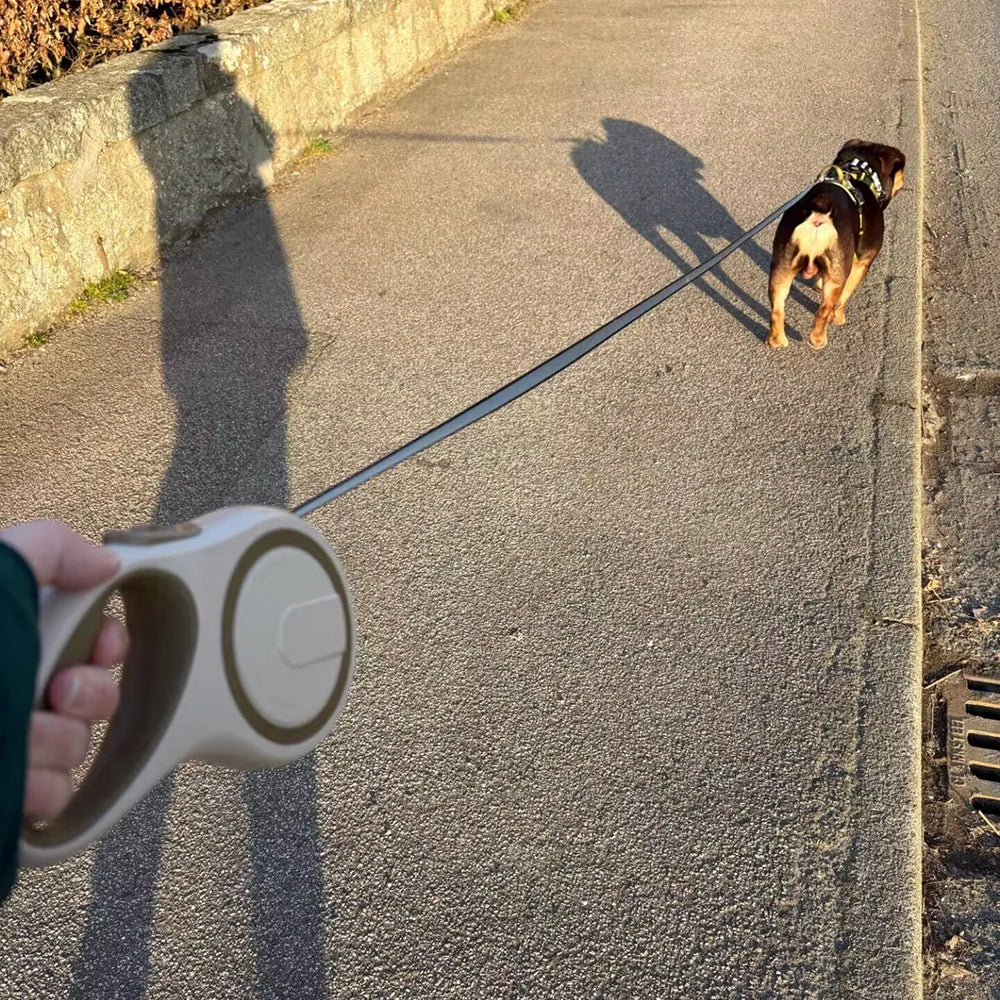 8m retractable dog leash - extendable training lead for dogs & cats