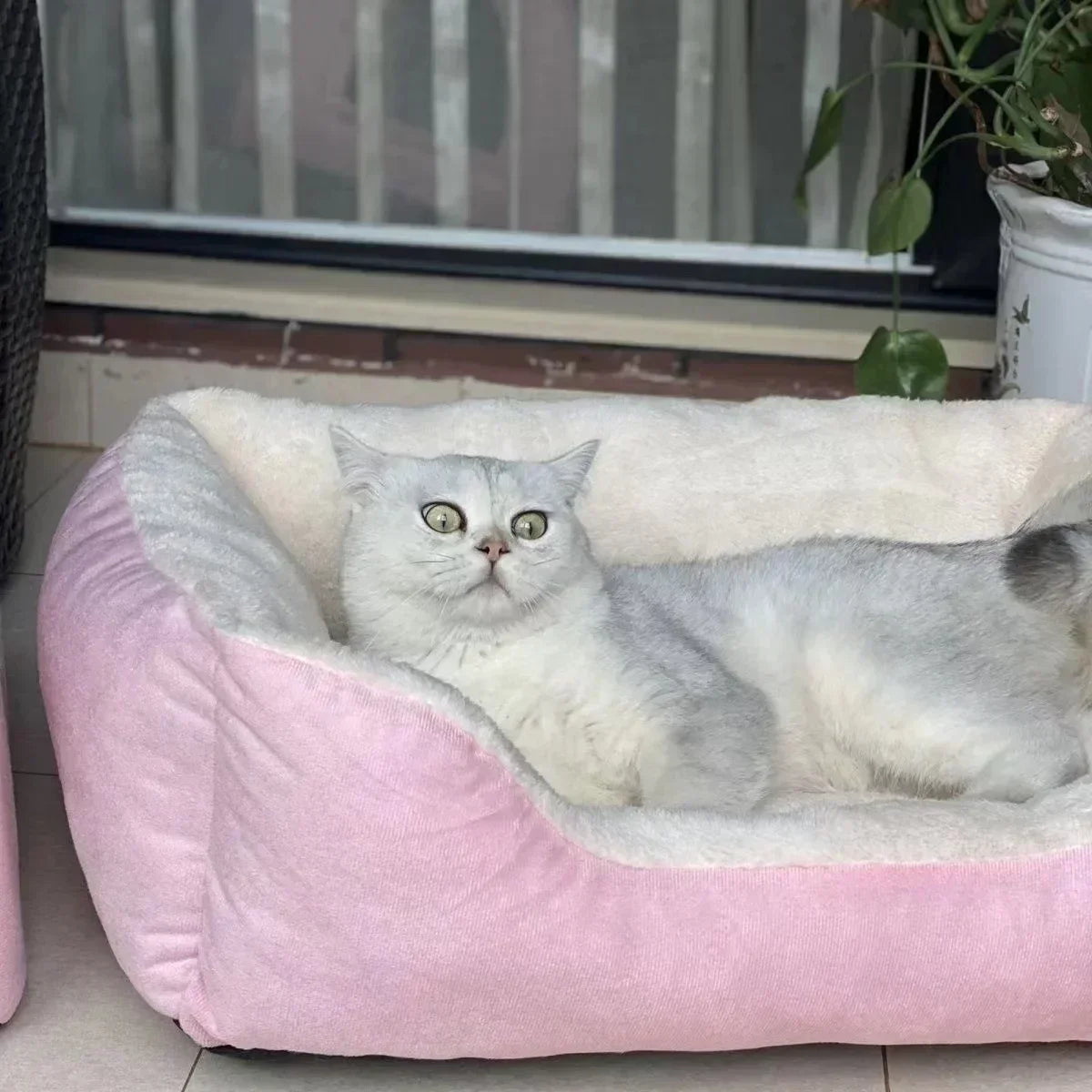 plush pet bed for cats & small dogs – soft breathable cushion
