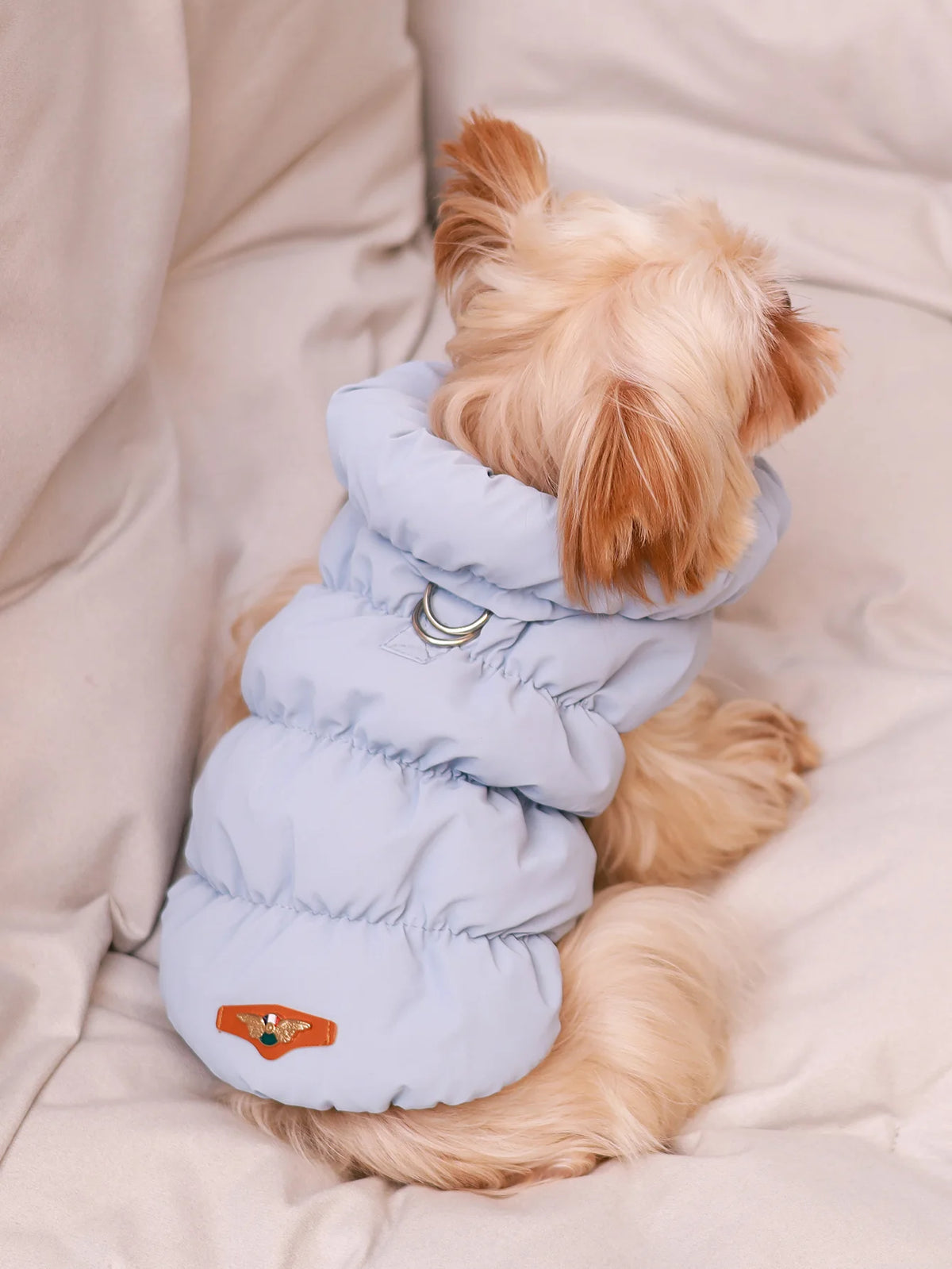 thick warm 3-layer puppy jacket for autumn winter poodle teddy yorkie