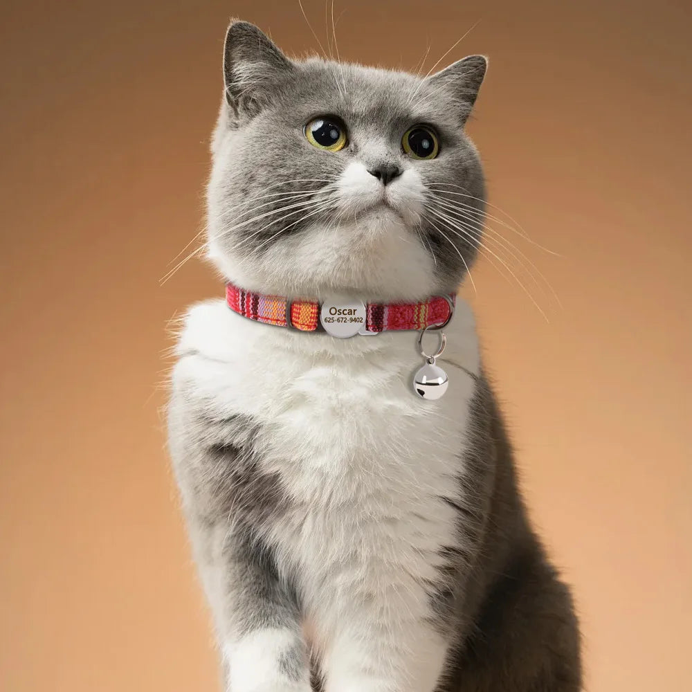 personalized cat collar with bell - free engraved, breakaway safe