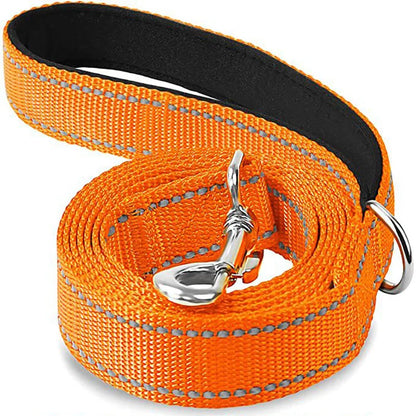 Reflective Nylon Dog Leash with Comfortable Handle for Night Walks