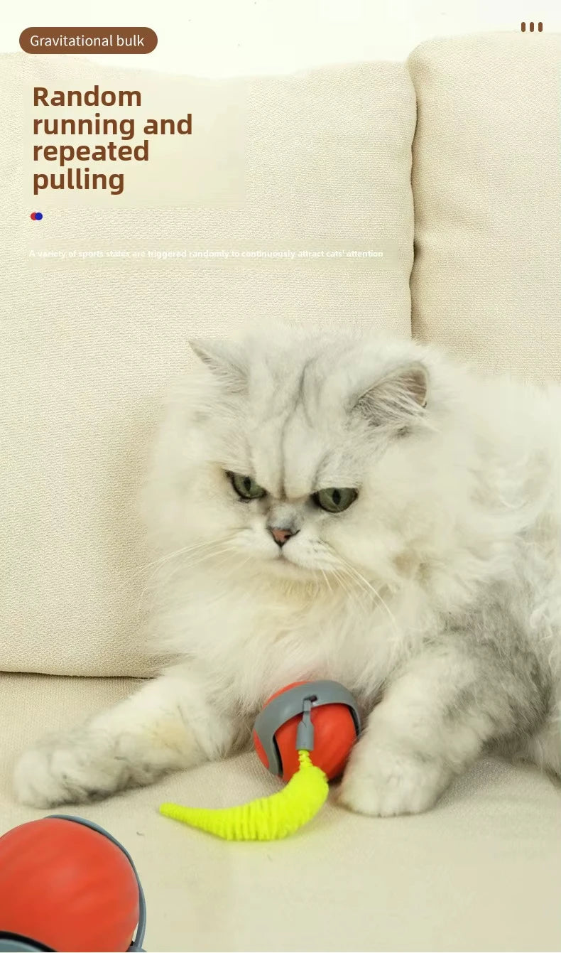 speedy tail 2.0 interactive cat ball toy with dual-speed modes