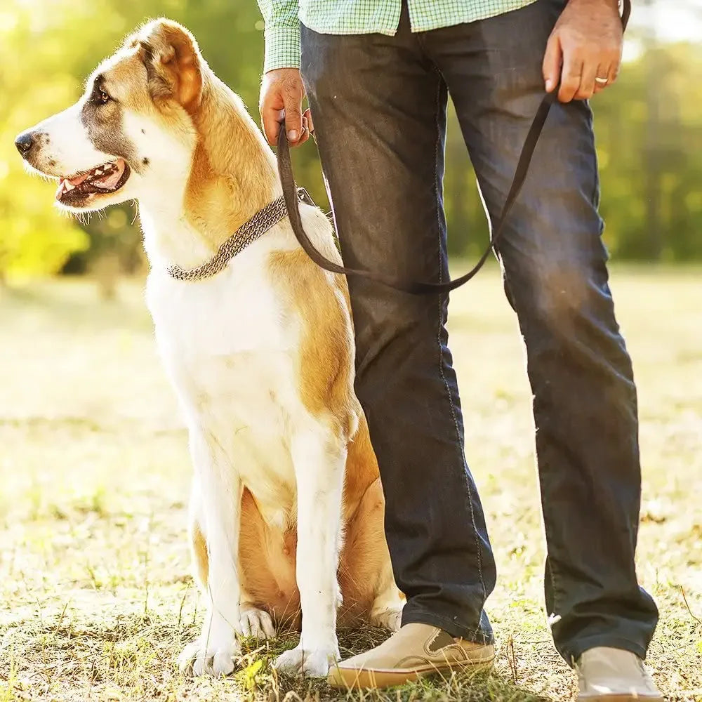 genuine leather braided dog leash for medium and large dog breeds