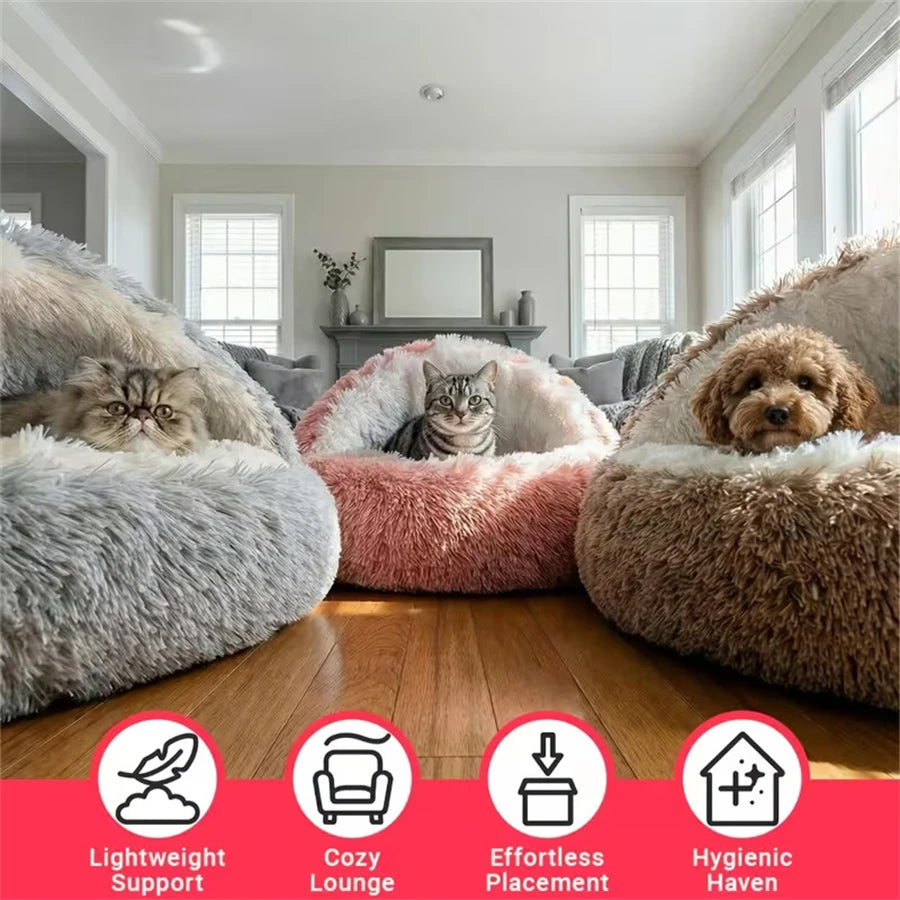 cozy shell-shaped plush cat bed, warm semi-enclosed nest for puppies