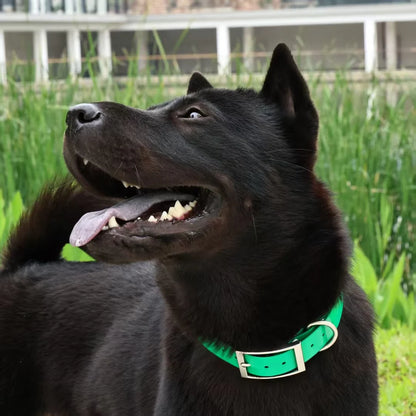 2.5cm Wide Heavy-Duty TPU Dog Collar for Hunting, Training, and Everyday Walks