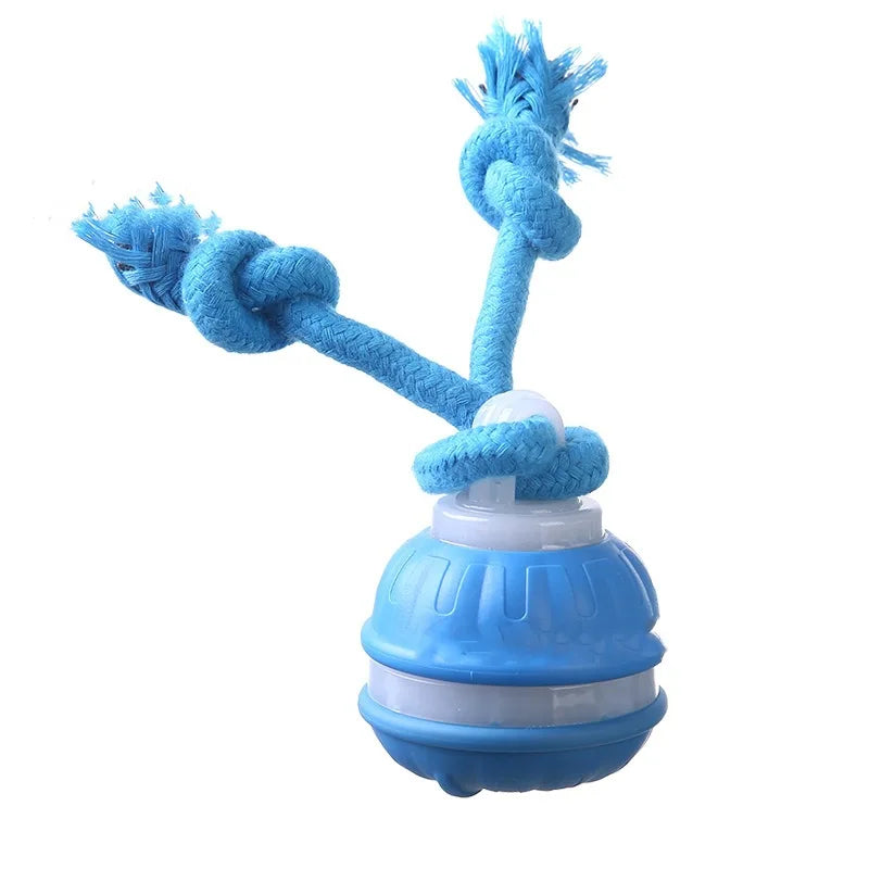 interactive rolling dog ball, usb rechargeable motion activated toy