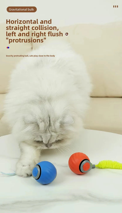 Speedy Tail 2.0 Interactive Cat Ball Toy with Dual-Speed Modes