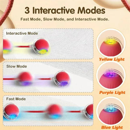 Automatic Rolling Dog Ball Toy - Rechargeable Smart Interactive Toy