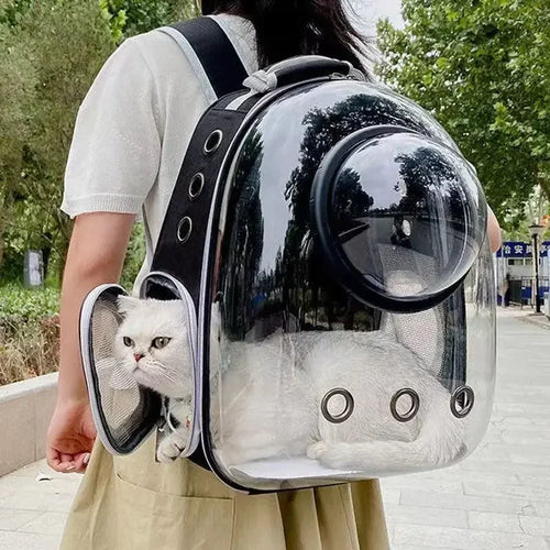 Transparent Bubble Pet Carrier Backpack for Cats & Small Dogs