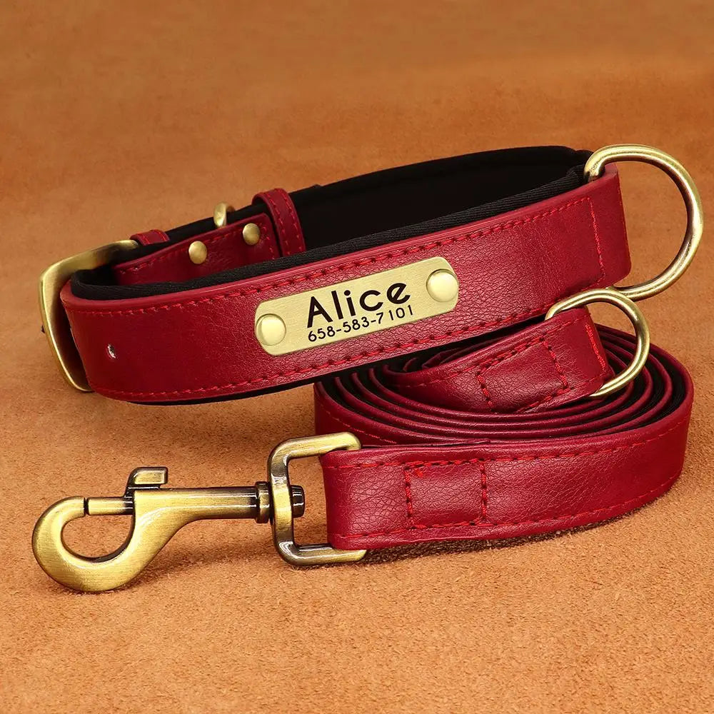 padded leather dog collar and leash set with custom nameplate tag