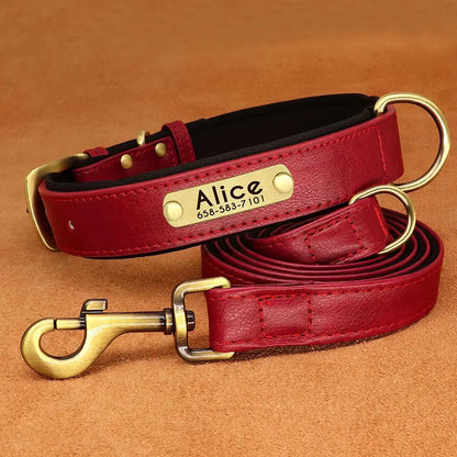 Padded Leather Dog Collar and Leash Set with Custom Nameplate Tag