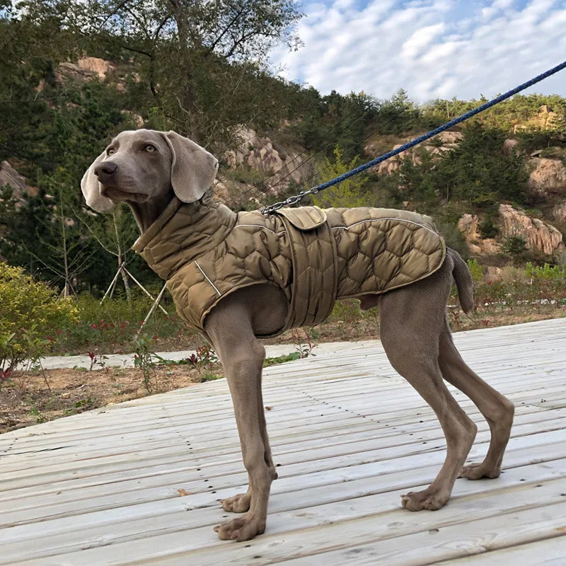 winter dog coat for large dogs, warm reflective water-repellent jacket