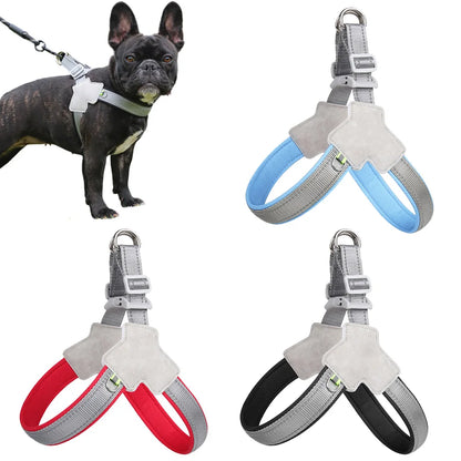 Adjustable Reflective Dog Harness for Hiking, Walking, and Travel