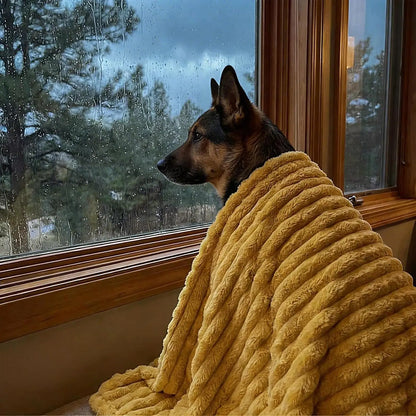 Soft Washable Pet Blanket 70x100cm for Small and Medium Dogs and Cats