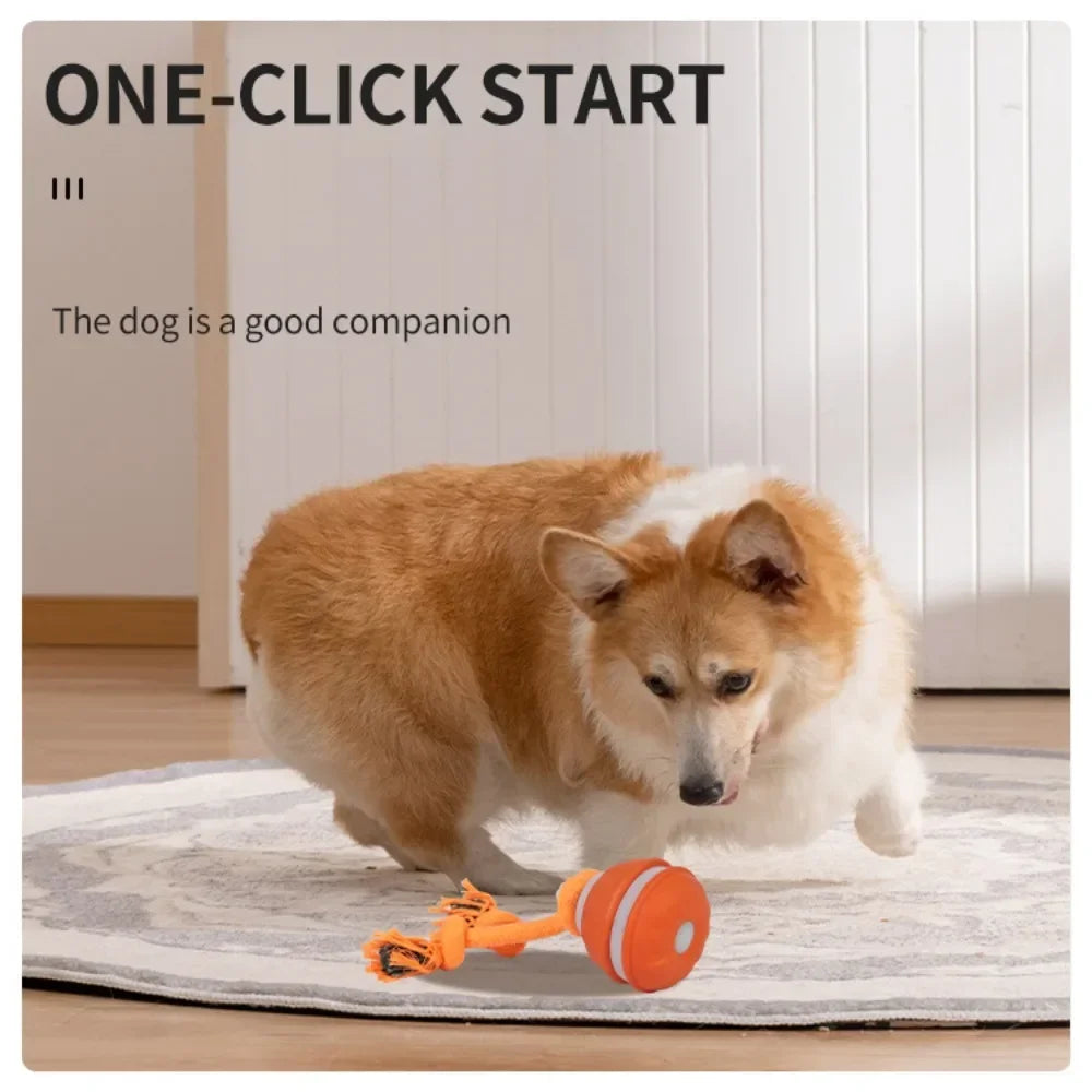interactive rolling dog ball, usb rechargeable motion activated toy