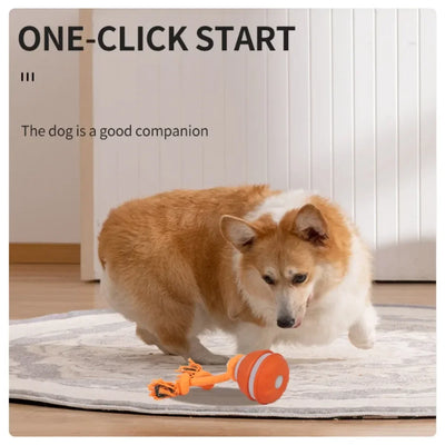 Interactive Rolling Dog Ball, USB Rechargeable Motion Activated Toy