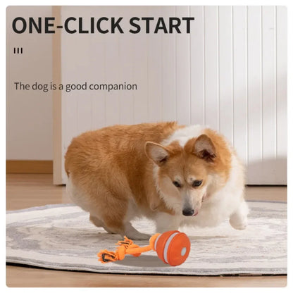 Interactive Rolling Dog Ball, USB Rechargeable Motion Activated Toy