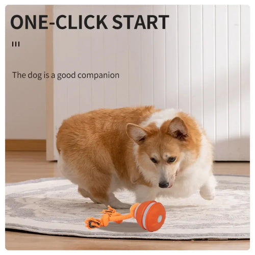 Interactive Rolling Dog Ball, USB Rechargeable Motion Activated Toy