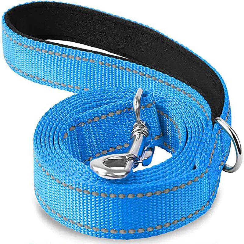 reflective nylon dog leash with comfortable handle for night walks