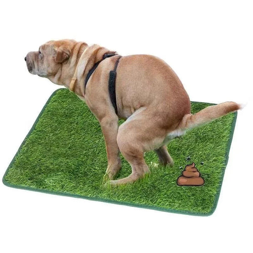 Reusable Artificial Grass Dog Toilet Mat for Balcony and Garden Use