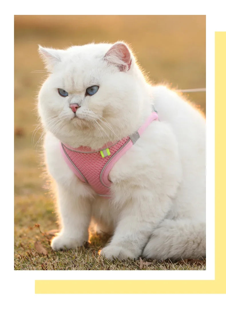 breathable mesh pet harness with reflective safety stitching set