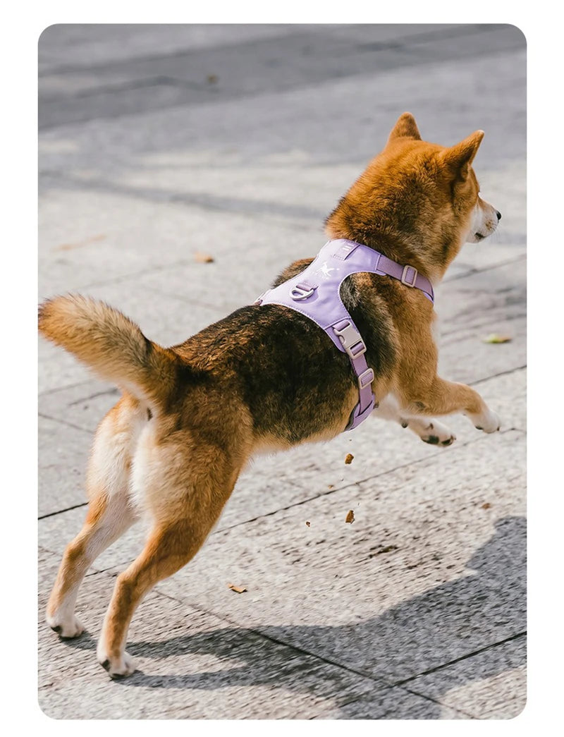 lightweight dog harness & leash set - anti-pull, escape-proof fit