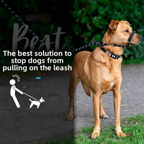 2-in-1 Adjustable Training Dog Leads with Anti-Bite Muzzle