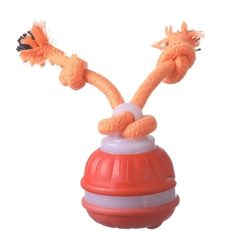 interactive rolling dog ball, usb rechargeable motion activated toy
